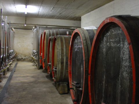 Foto 5 von Weingut Bacchushof