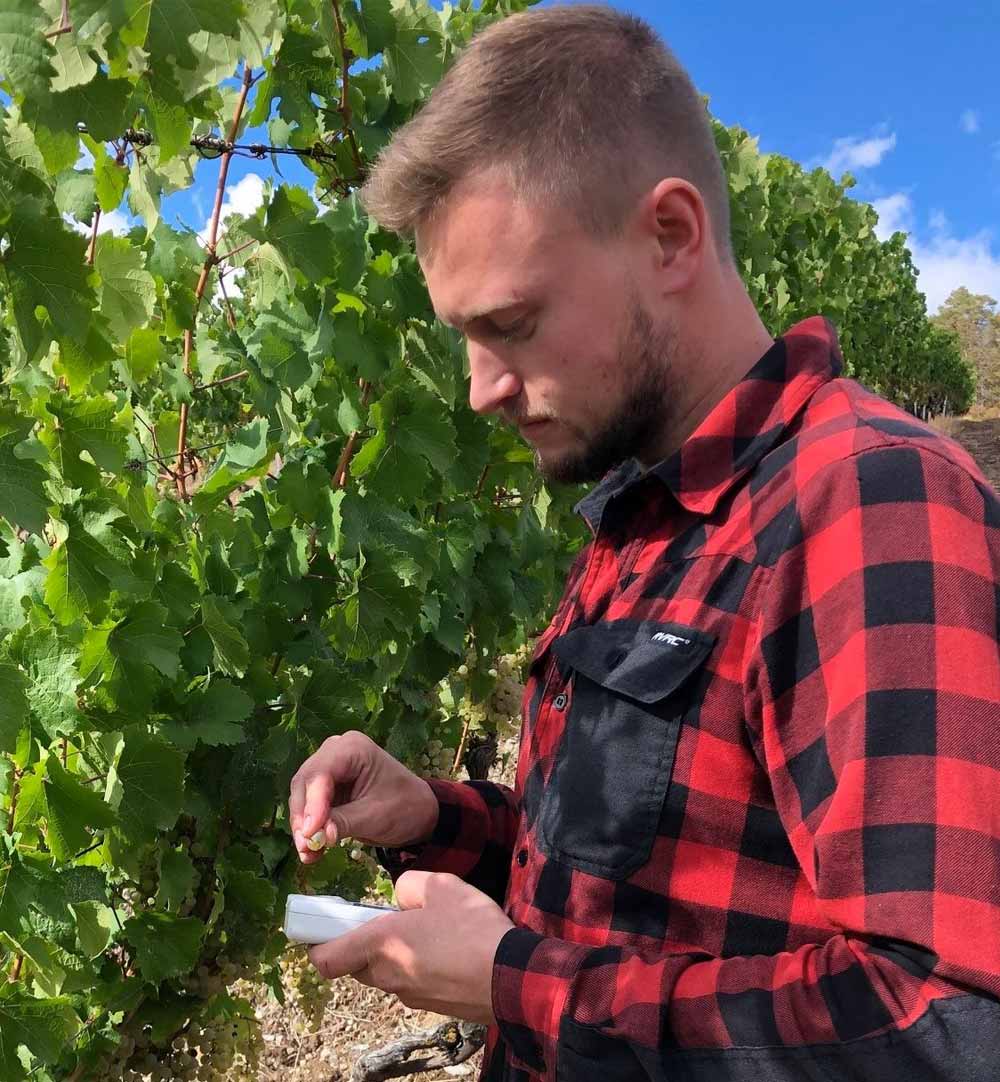 Foto 6 von Weingut Baldauf