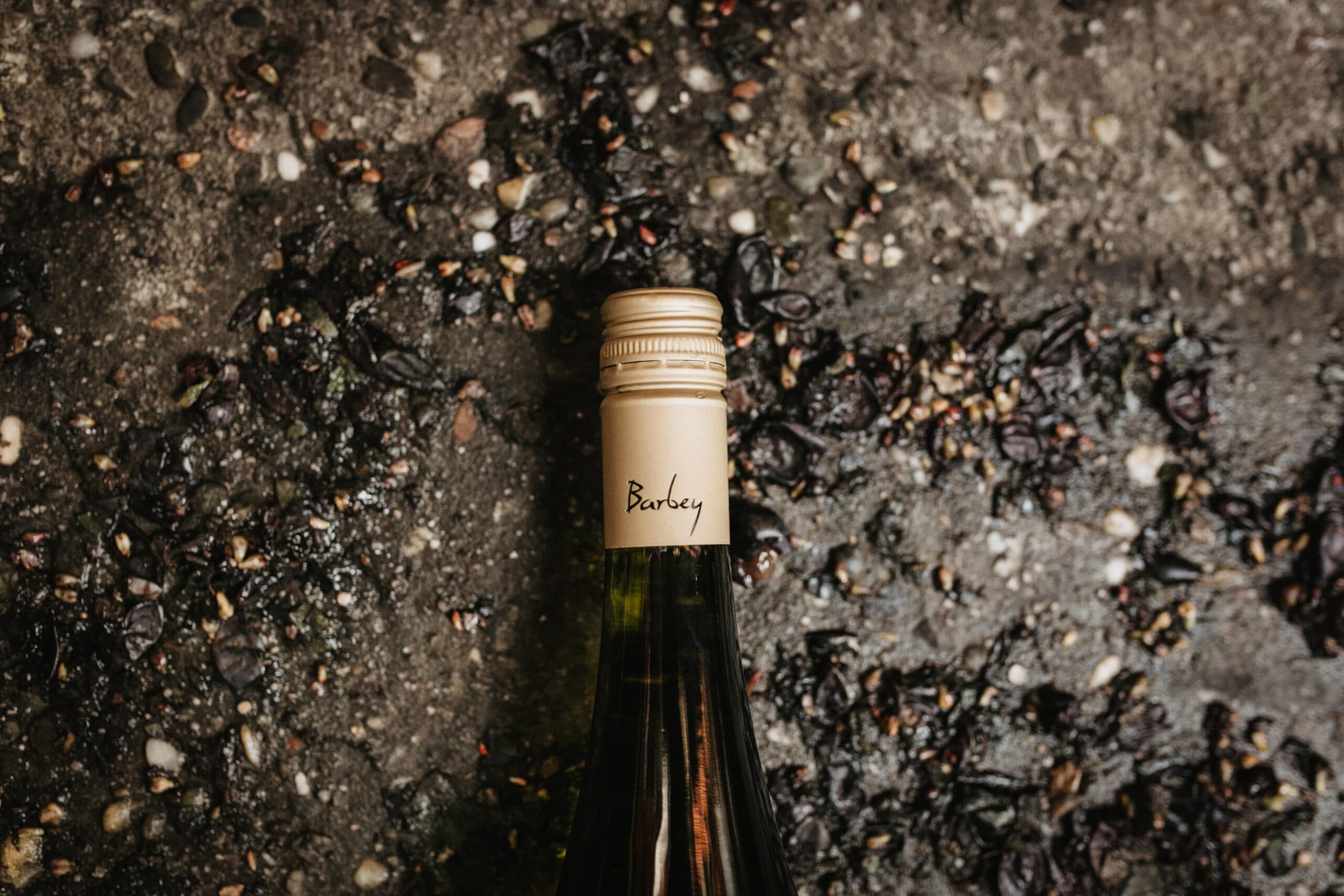 Foto 7 von Weingut Barbey