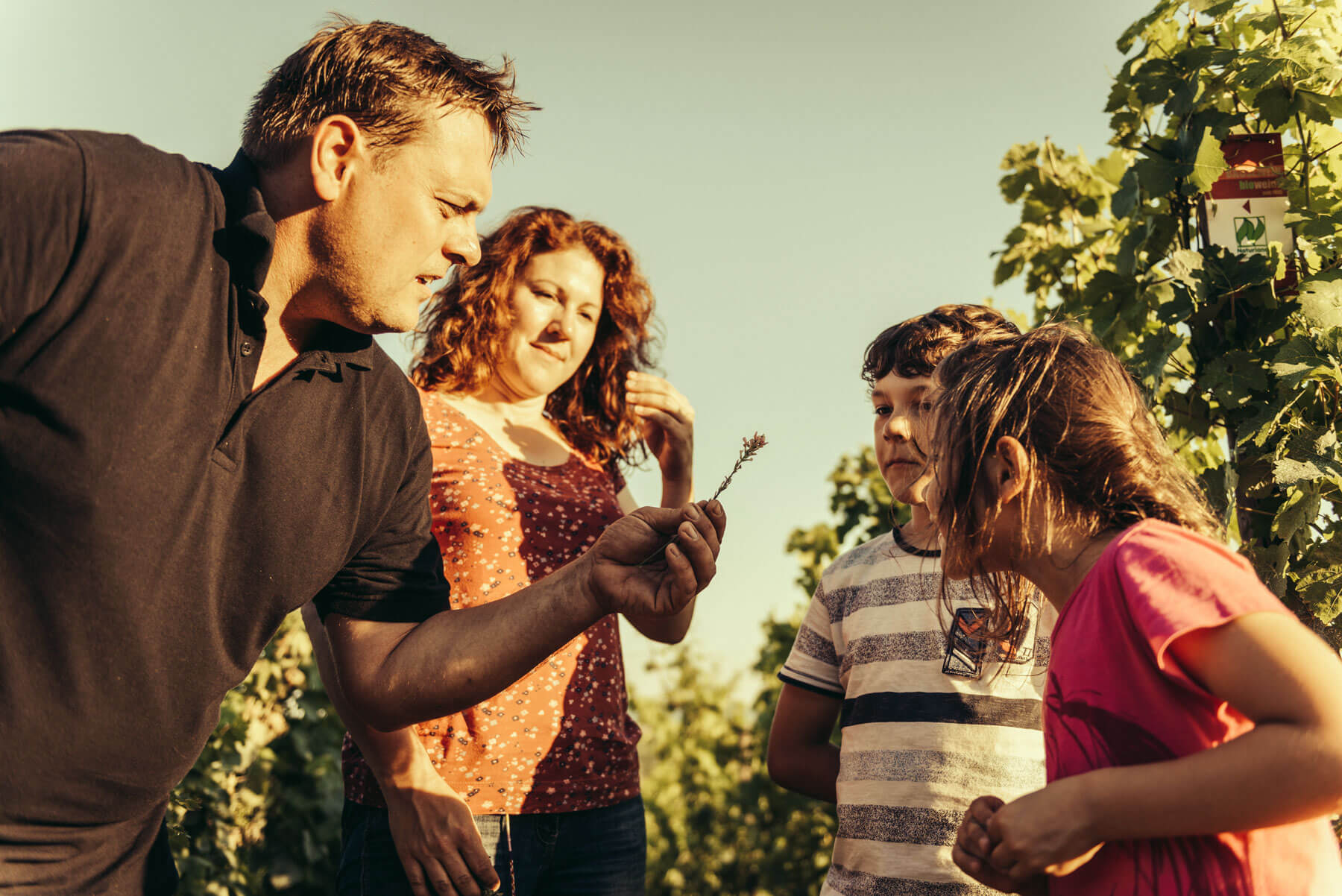 Foto 6 von Weingut Bausewein