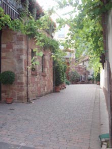 Weingut Bender