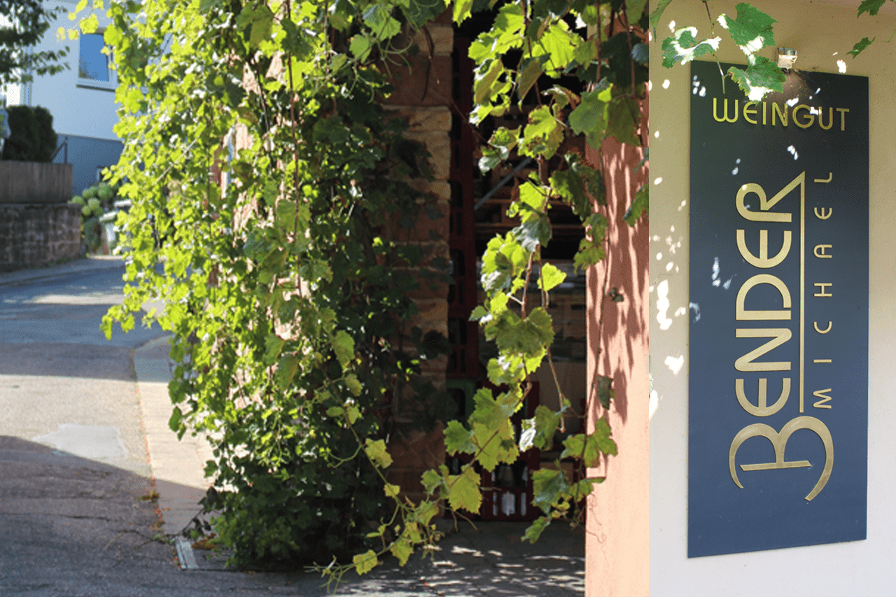 Foto 14 von Weingut Bender