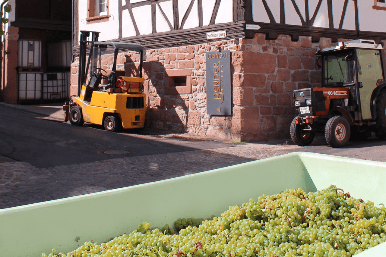 Foto 12 von Weingut Bender