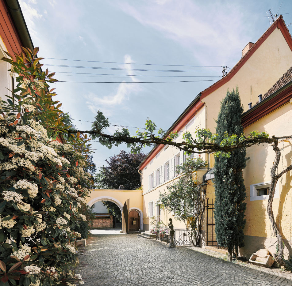 Foto 1 von Weingut Bergdolt