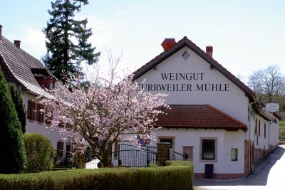 Foto 4 von Burrweiler Mühle