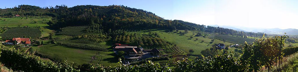 Weingut Bernhard Huber