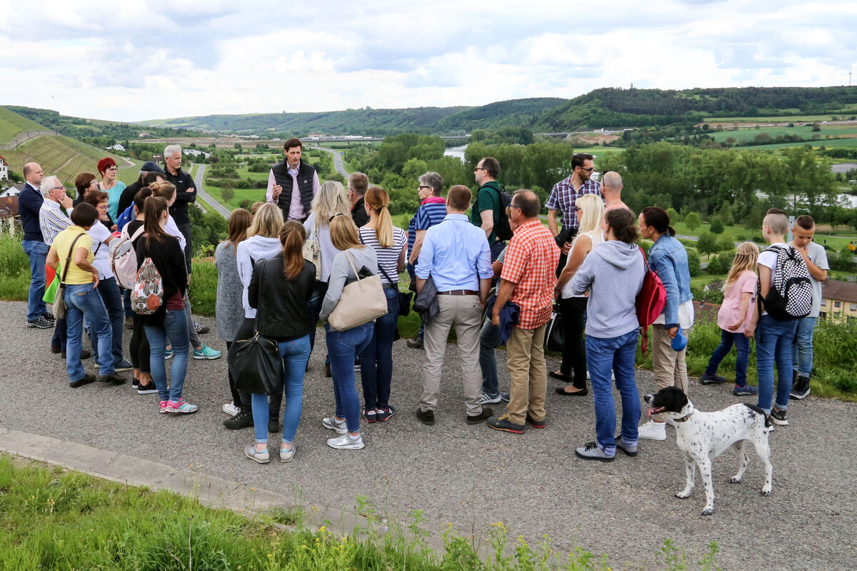 Фото 2 з Weingut Berthold Schmachtenberger
