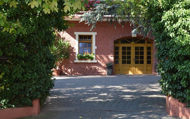 Foto 3 von Weingut Binz