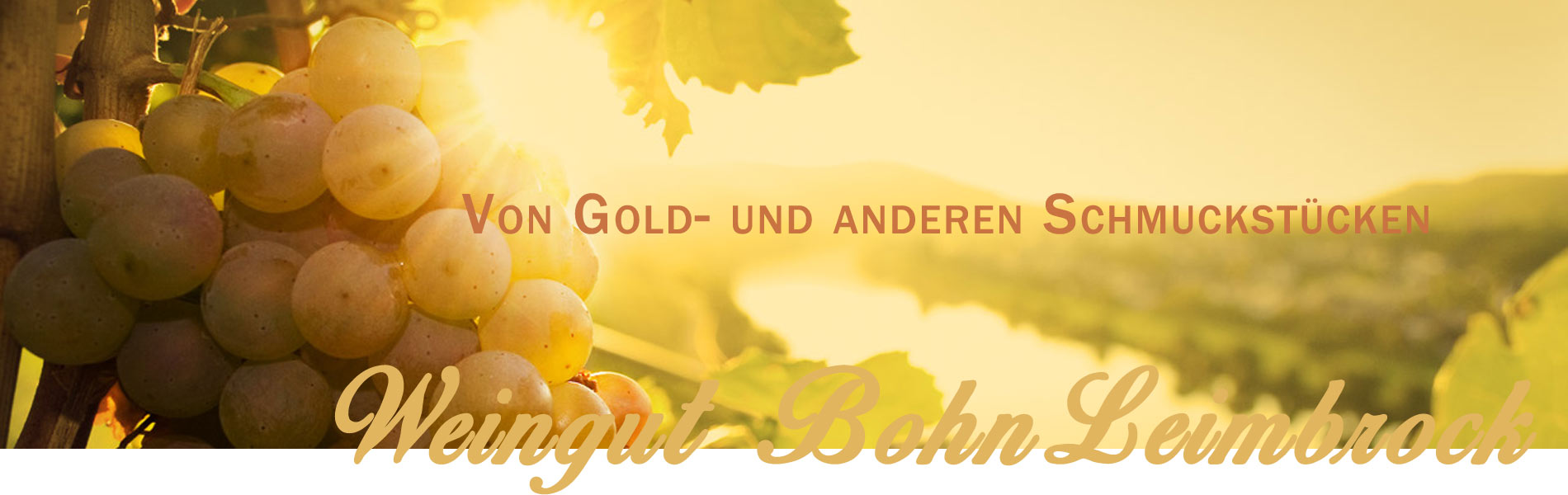 Foto 1 von Weingut Bohn-Leimbrock