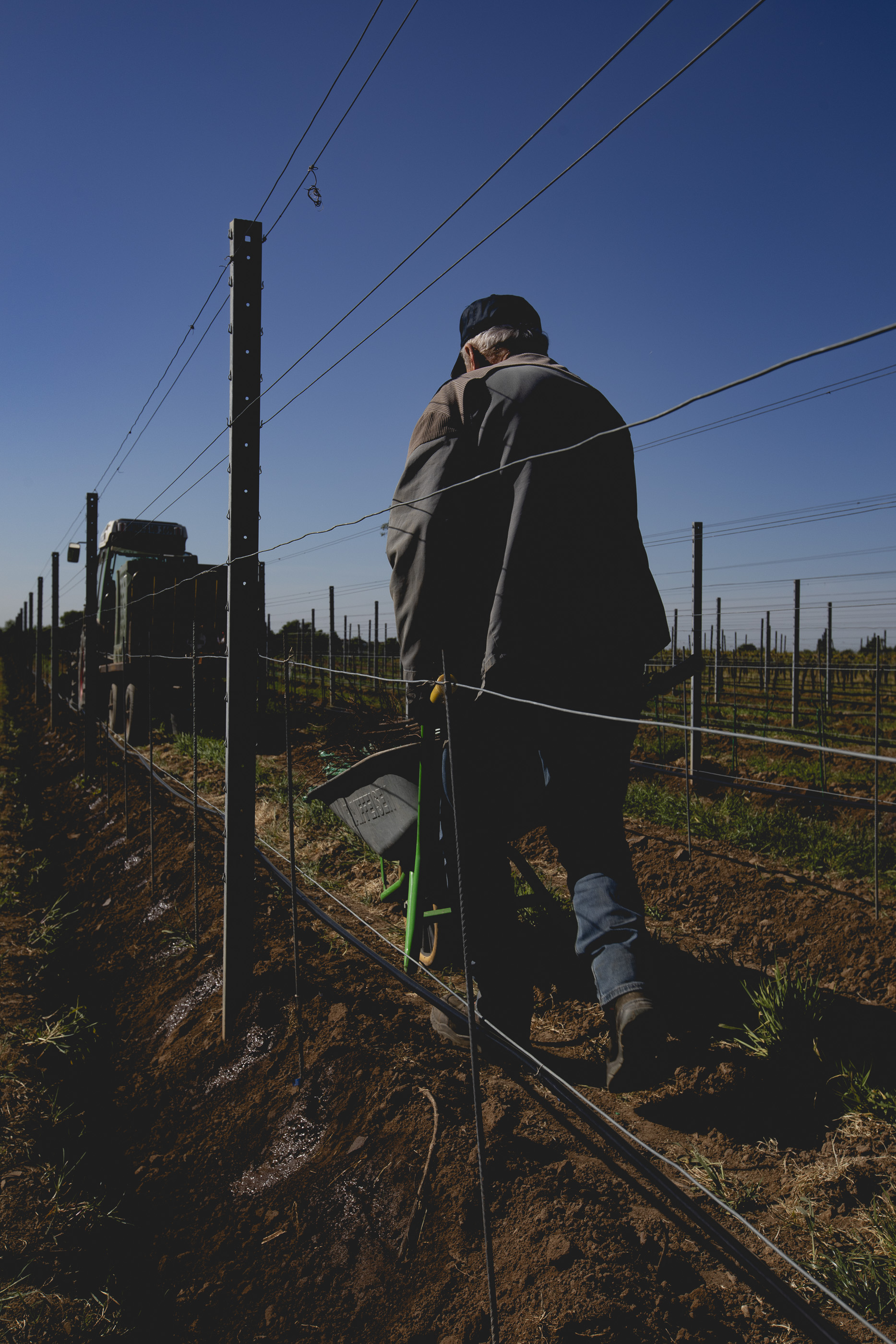 Foto 7 von Weingut Braun