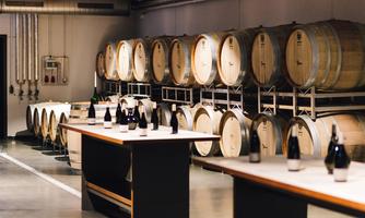 Foto 1 von Weingut Braun