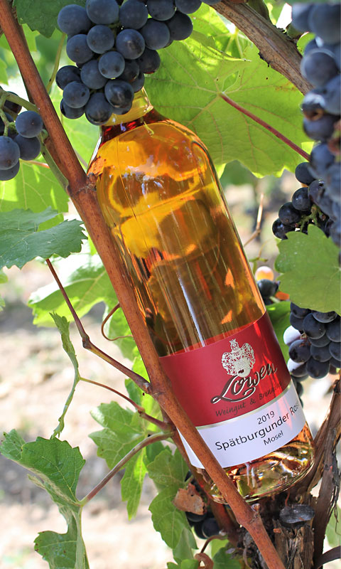 Фото 4 из Weingut & Brennerei Löwen
