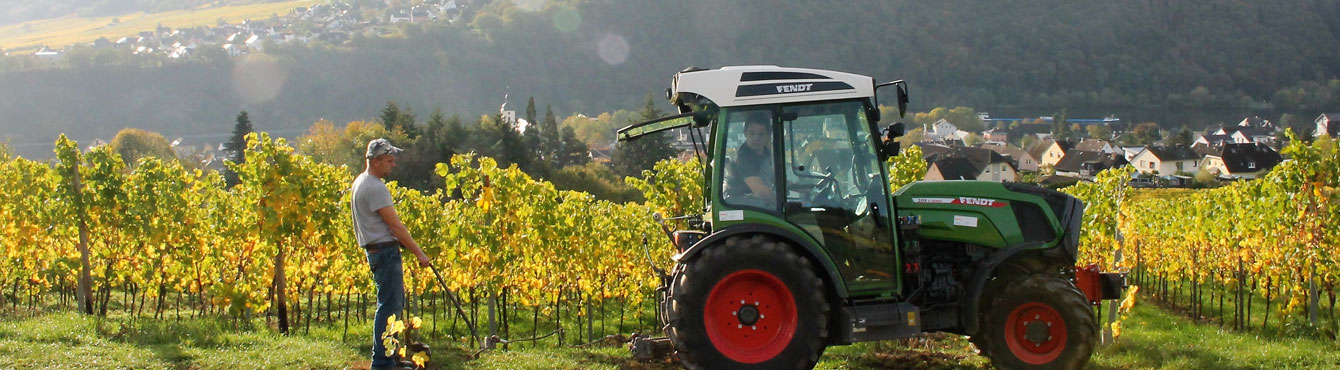 Фото 2 из Weingut & Brennerei Löwen