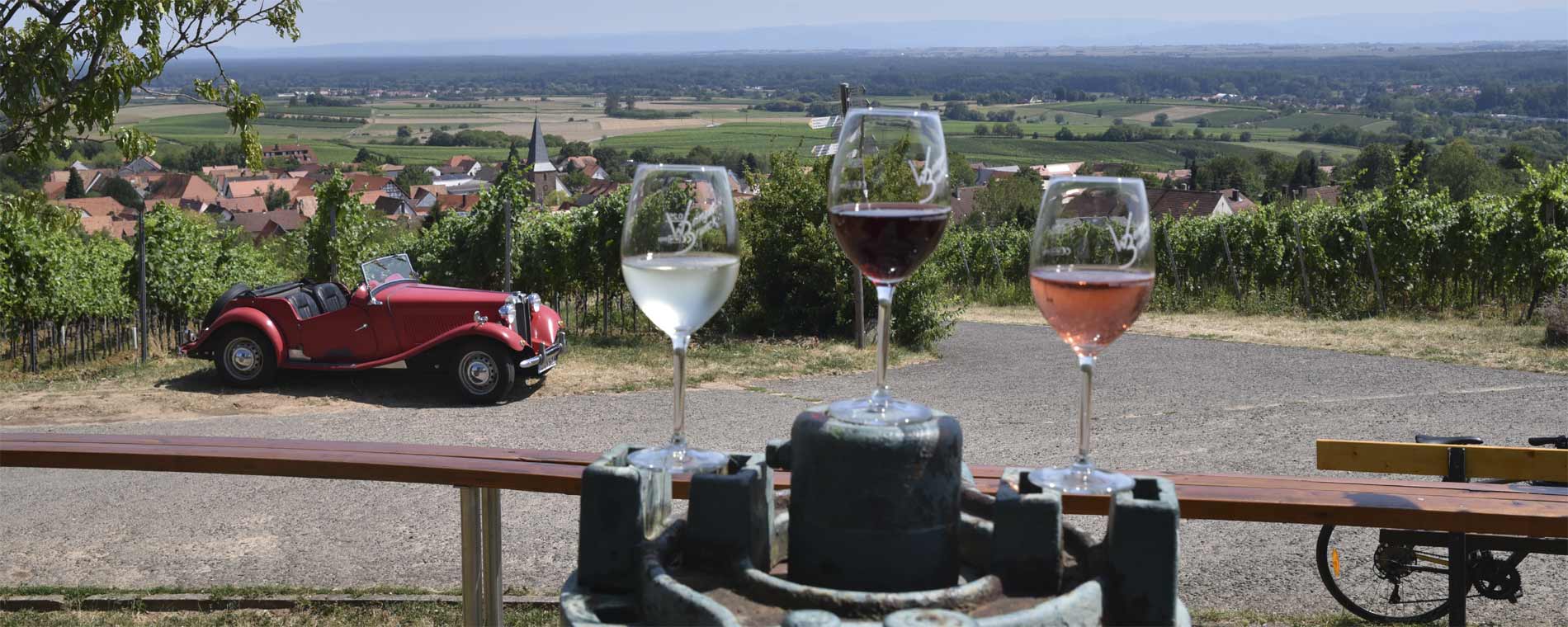 Foto 4 von Weingut Brunck