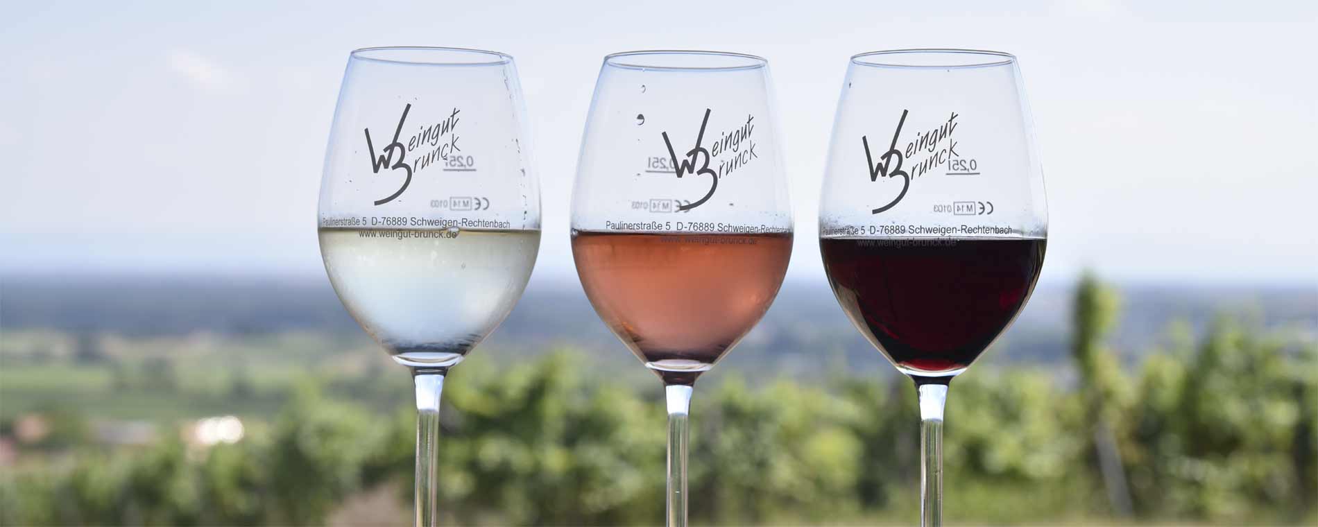 Foto 1 von Weingut Brunck