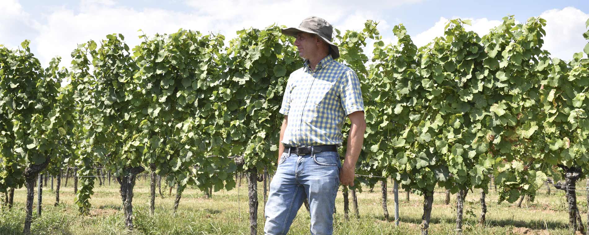 Foto 2 von Weingut Brunck