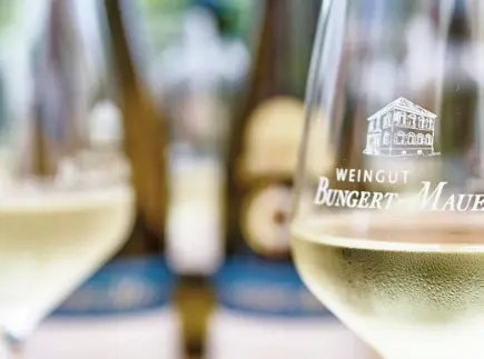 Foto 6 von Weingut Bungert-Mauer