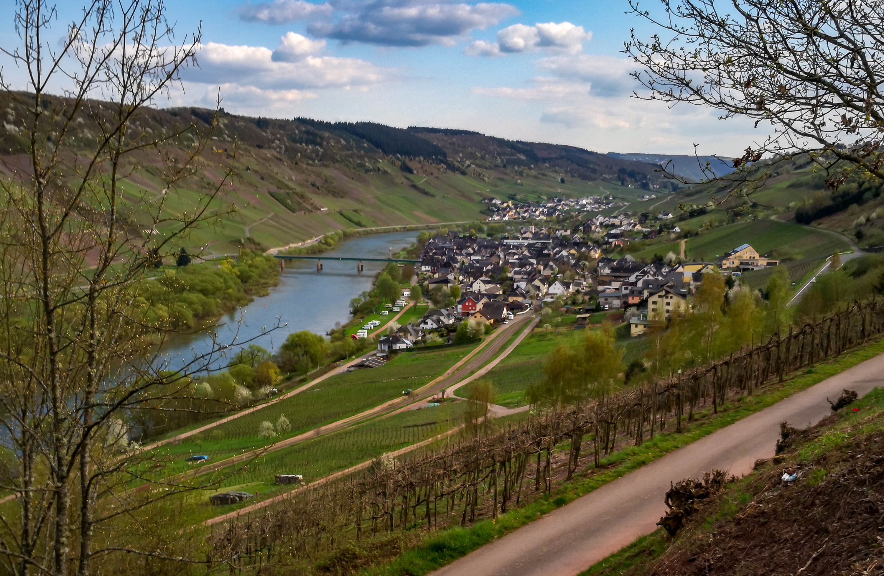 Photo 4 of Weingut Burg-Schneider