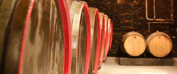 Foto 1 von Weingut Burg