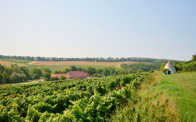 Foto 4 von E. Maria Gerhardt Weinkellerei GmbH