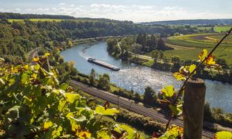 Weingut Carlshof