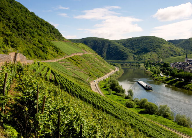 Foto 1 von Weingut Christiani-Ostermann