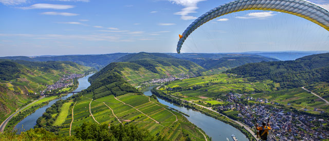 Foto 4 von Weingut Clemens-Ferdinand