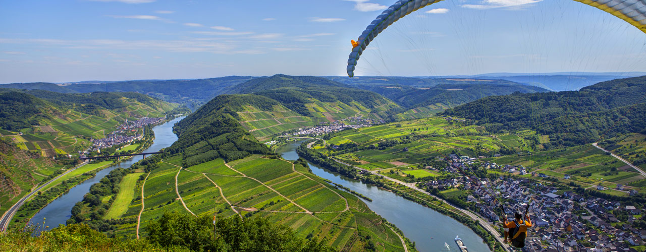 Foto 6 von Weingut Clemens-Ferdinand