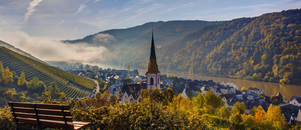 Foto 1 von Weingut Clemens-Ferdinand