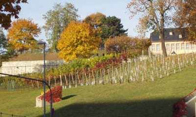 Erfurter Weinzunft 2002 e.V.