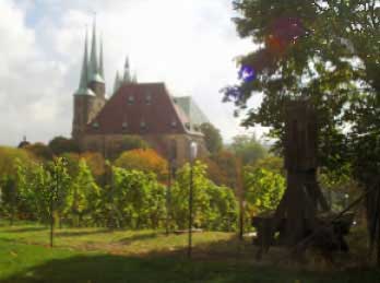 Foto 2 von Erfurter Weinzunft 2002 e.V.