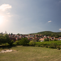 Foto 5 von Weingut Cuntz Sonnenhof