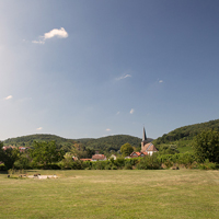 Foto 7 von Weingut Cuntz Sonnenhof