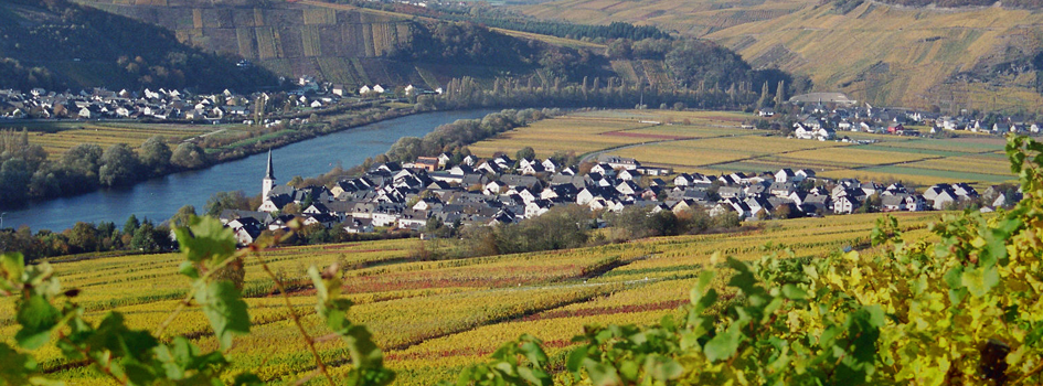 Weingut Dany & Sohn