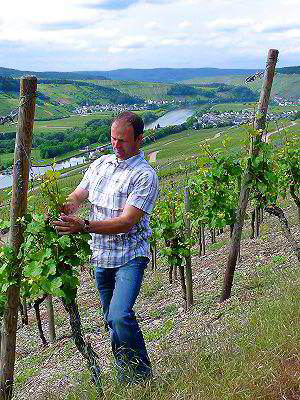 Foto 5 von Weingut Dany