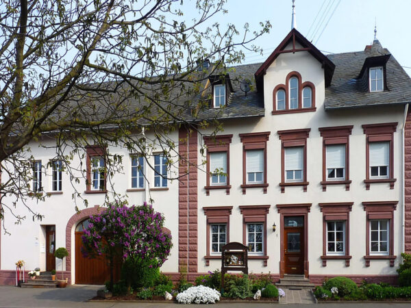Foto 4 von Weingut Dany