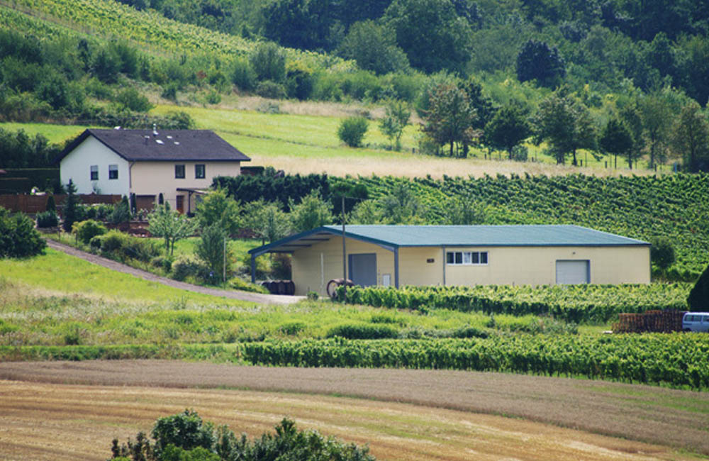 Foto 3 von Weingut Daum