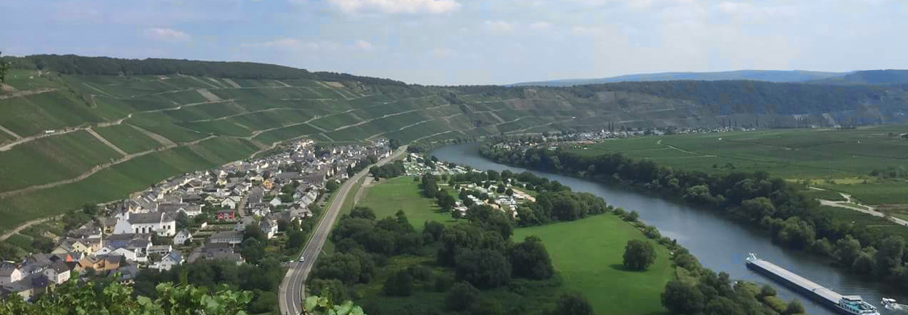 Foto 2 von Weingut Degendorf