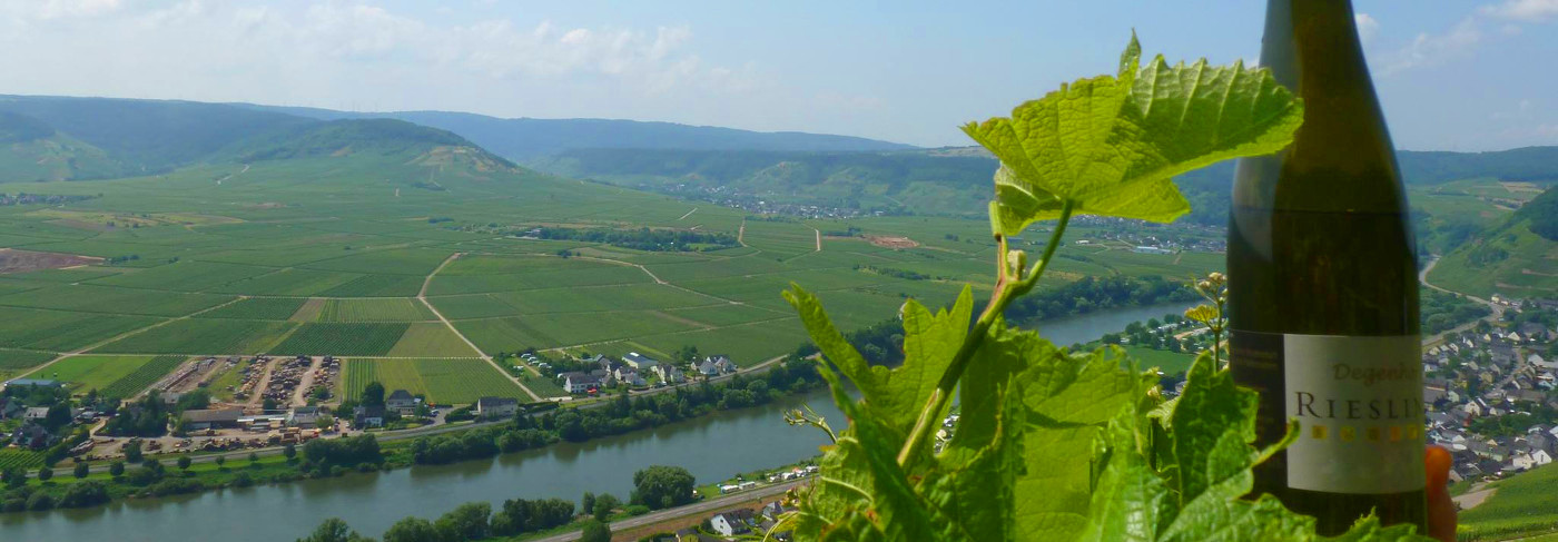 Foto 1 von Weingut Degendorf