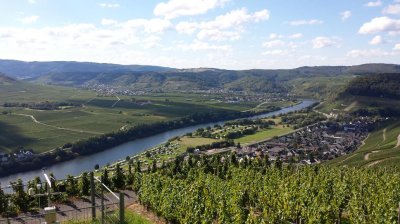 Foto 7 von Weingut Degendorf