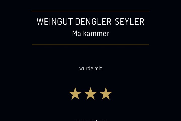 Foto 4 von Weingut Dengler-Seyler