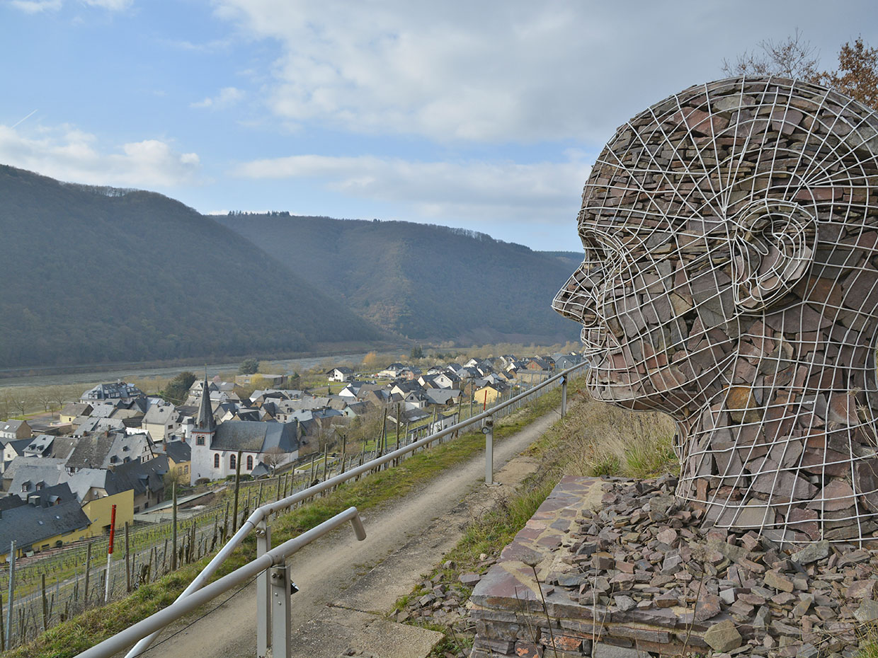 Foto 5 von Weingut Dernst