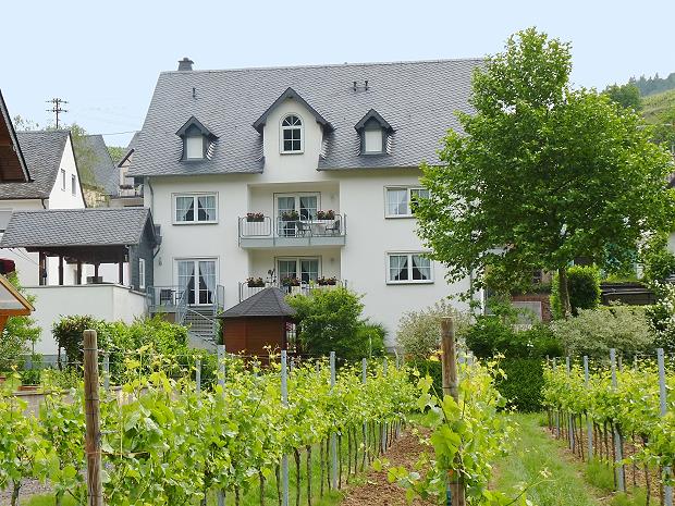 Foto 4 von Weingut Dernst
