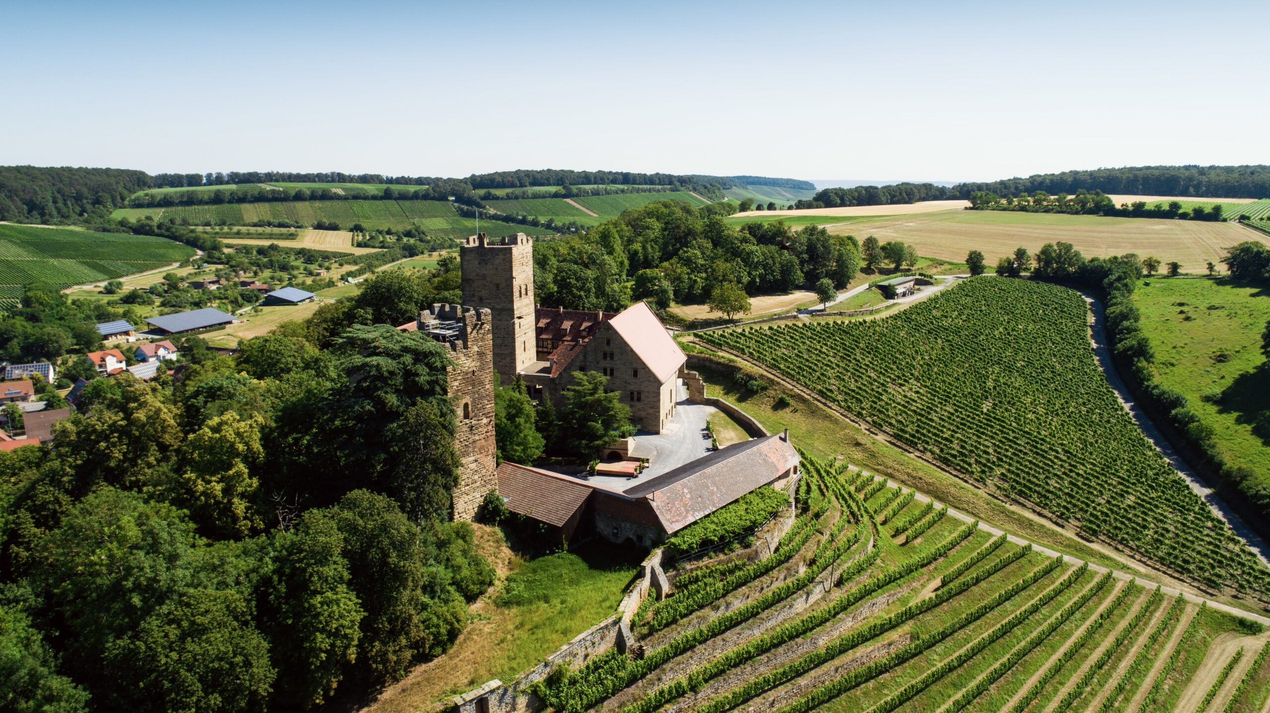 Foto 1 von Weingut des Grafen von Neipperg