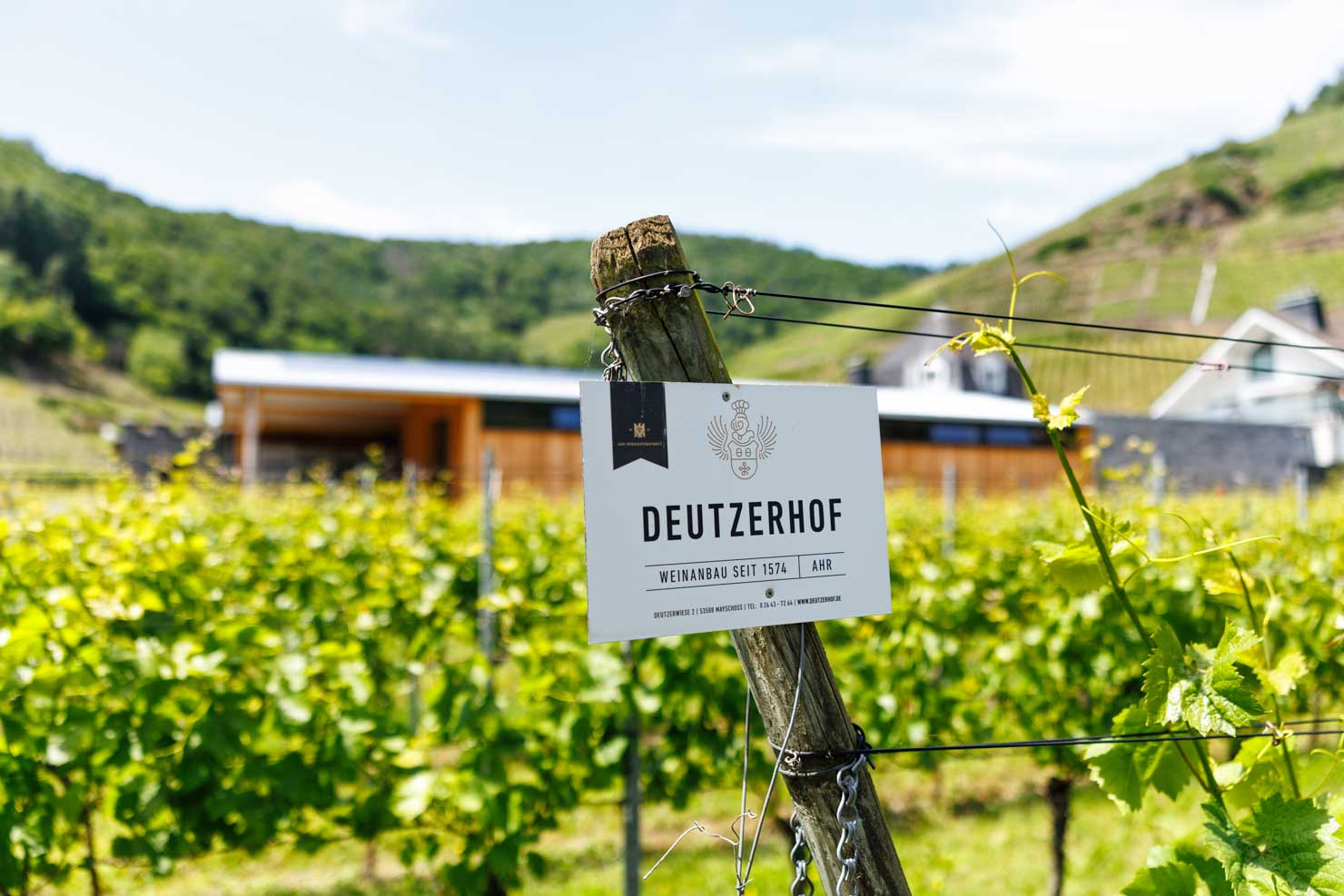 Foto 9 von Weingut Deutzerhof
