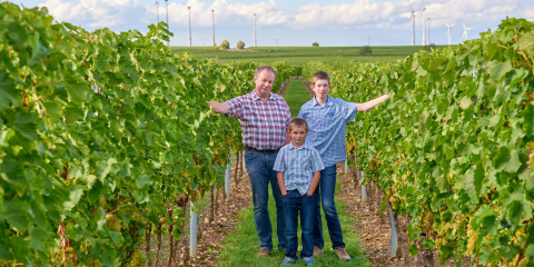 Foto 5 von Weingut Diel