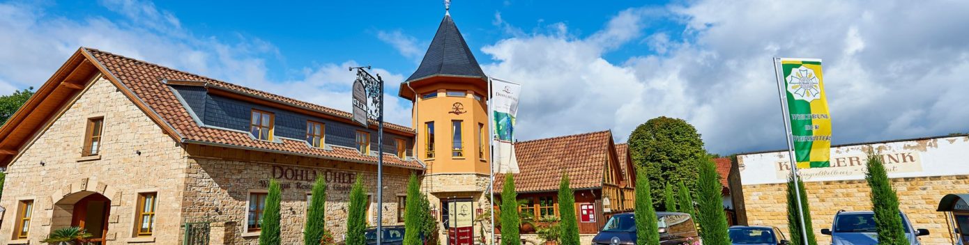 Foto 6 von Weingut Dohlmühle