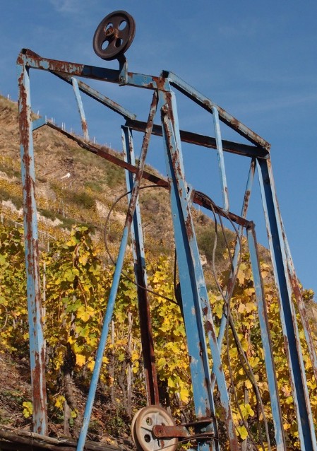 Foto 6 von Weingut Domgartenhof