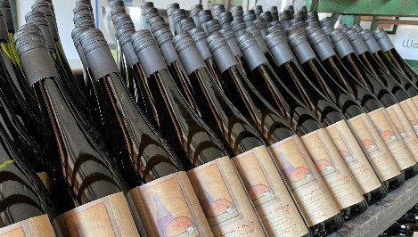 Foto 1 von Weingut Domgartenhof