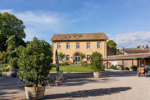 Photo 3 of Weingut Dr. Bürklin-Wolf
